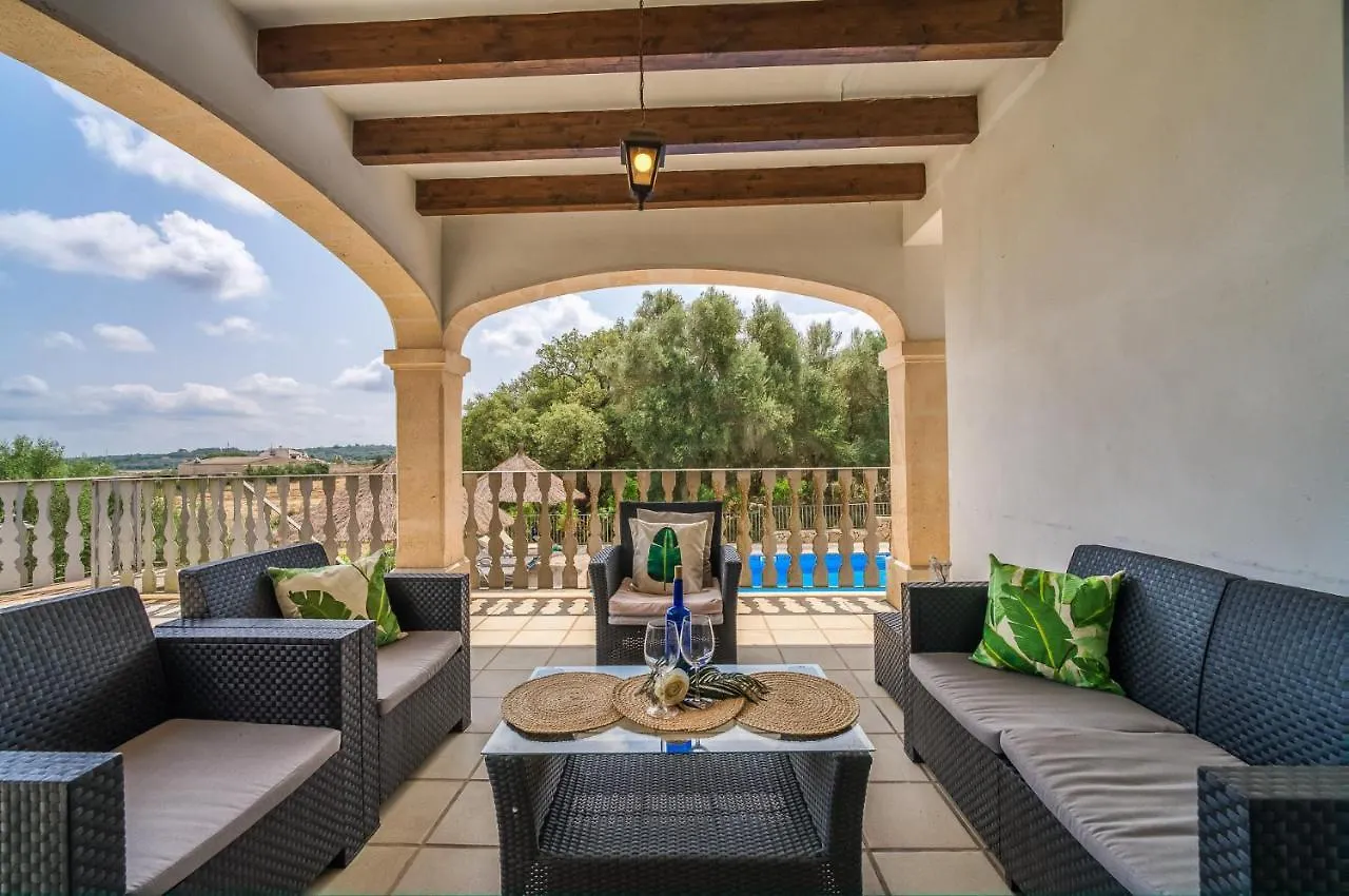 Ideal Property Mallorca - Sa Pleta Petra